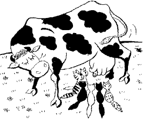 pislik_inek[1].gif (5119 bytes)